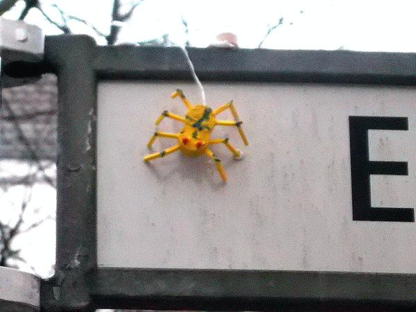 Spinne an Straßenschild