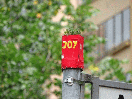 JoY-Gardening