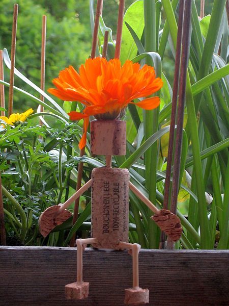 Ringelblumenhut