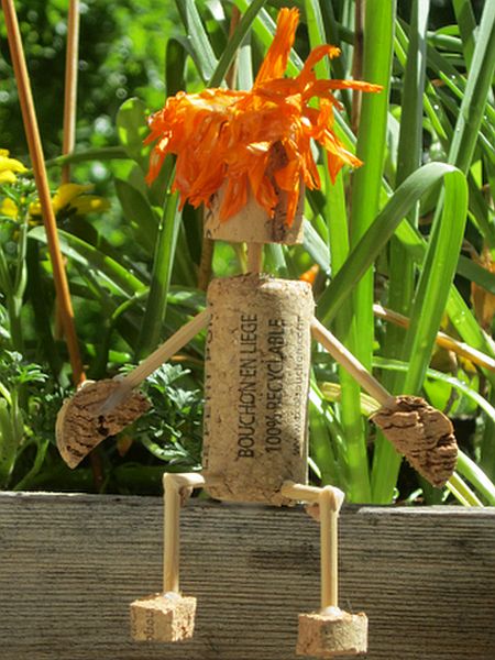 Ringelblumenhut 1 Woche später