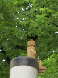 Savigny