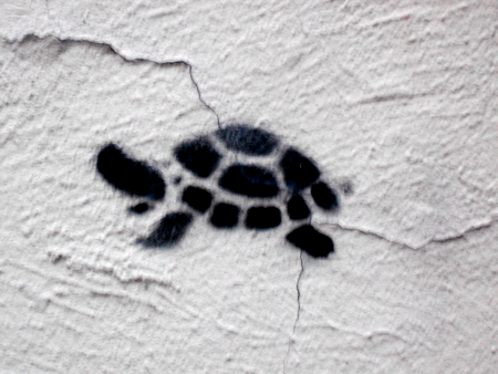 Street-Art: Wandschildkrte