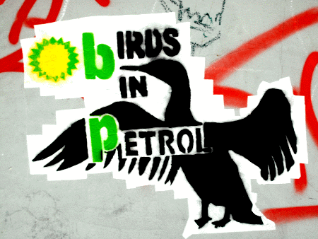 Street-Art: Birds in Petrol