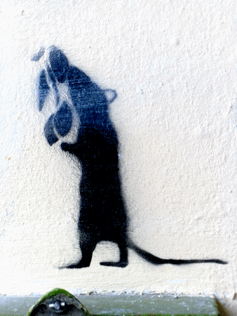 Street-Art: Ratte