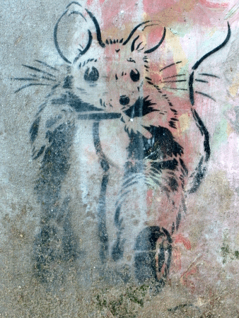 Street-Art: Segway-Ratte