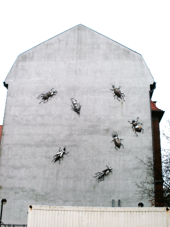 Street-Art: Insekten