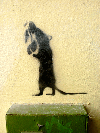 Street-Art: Ratte