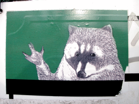 Street-Art: Waschbär