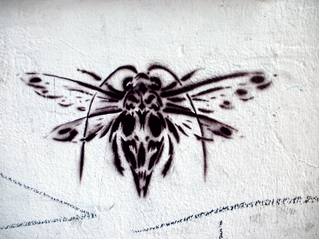 Street-Art: Fliege oder doch eine Libelle?