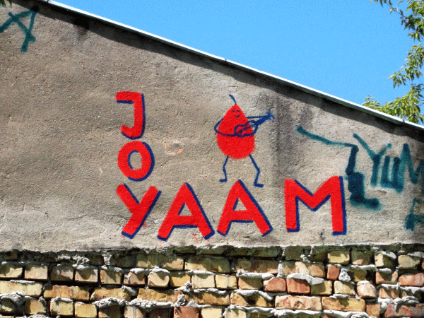 JoY Yaam