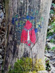 Krawattentr&auml;ger