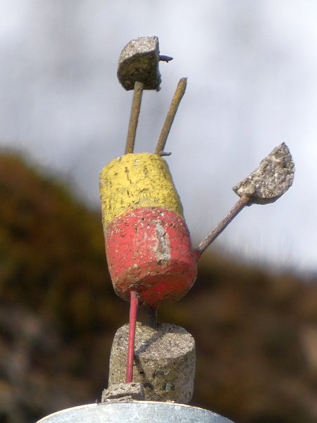 Eka Hasta Adho Mukha Vrksasana