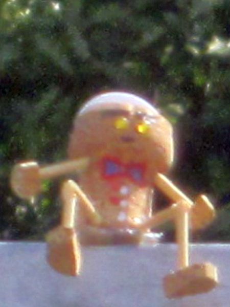 Yogi-H&auml;lfte